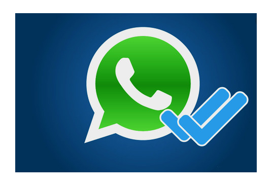 How to Hide View Status & Blue Tick On WhatsApp From Facebook