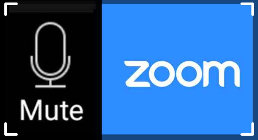 how to mute a zoom meeting
